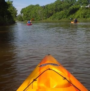 Meet your Posher, Randall